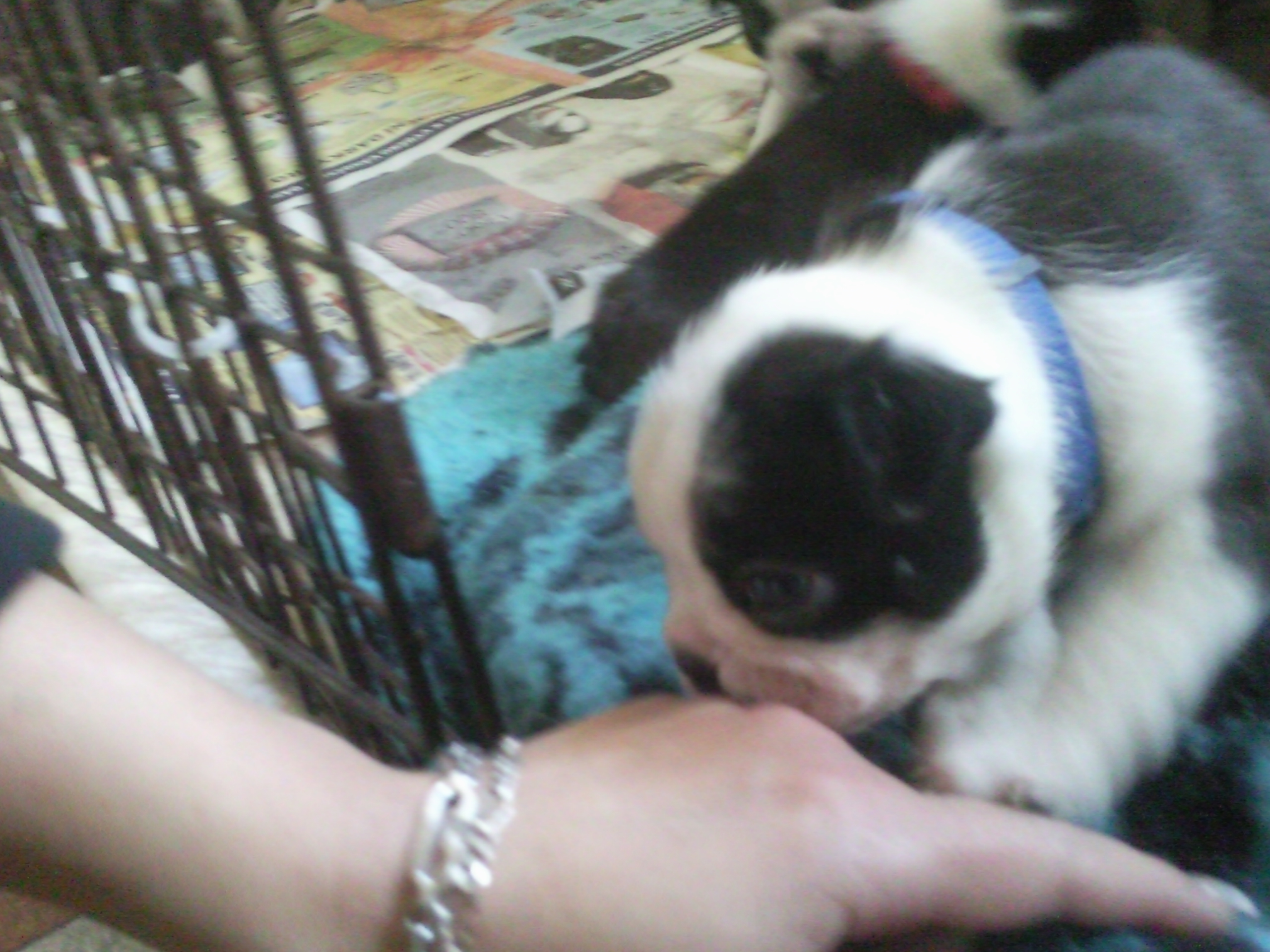 Očuchávám paničku